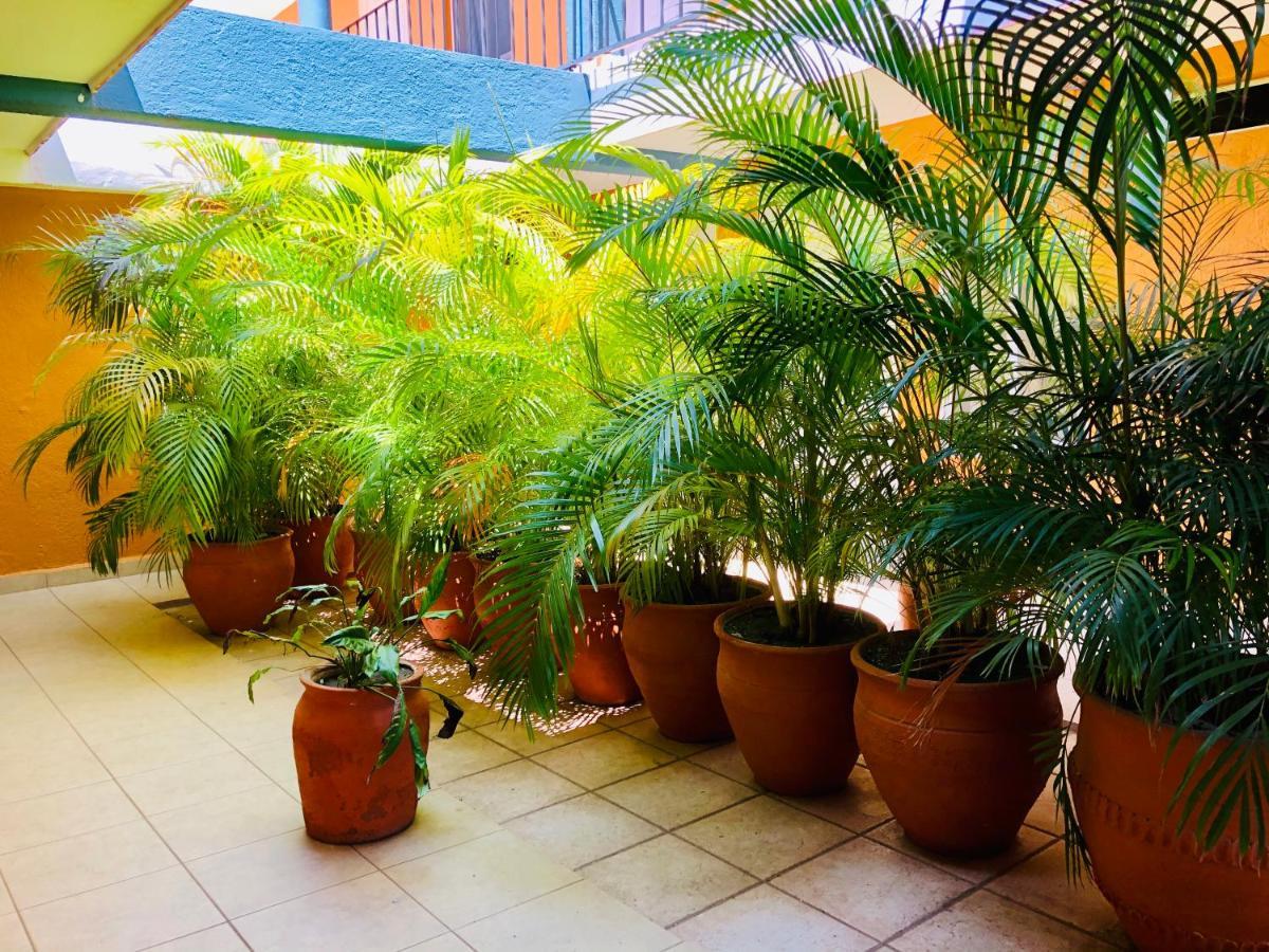 Hotel Playa Del Parque By Rotamundos Huatulco Екстер'єр фото